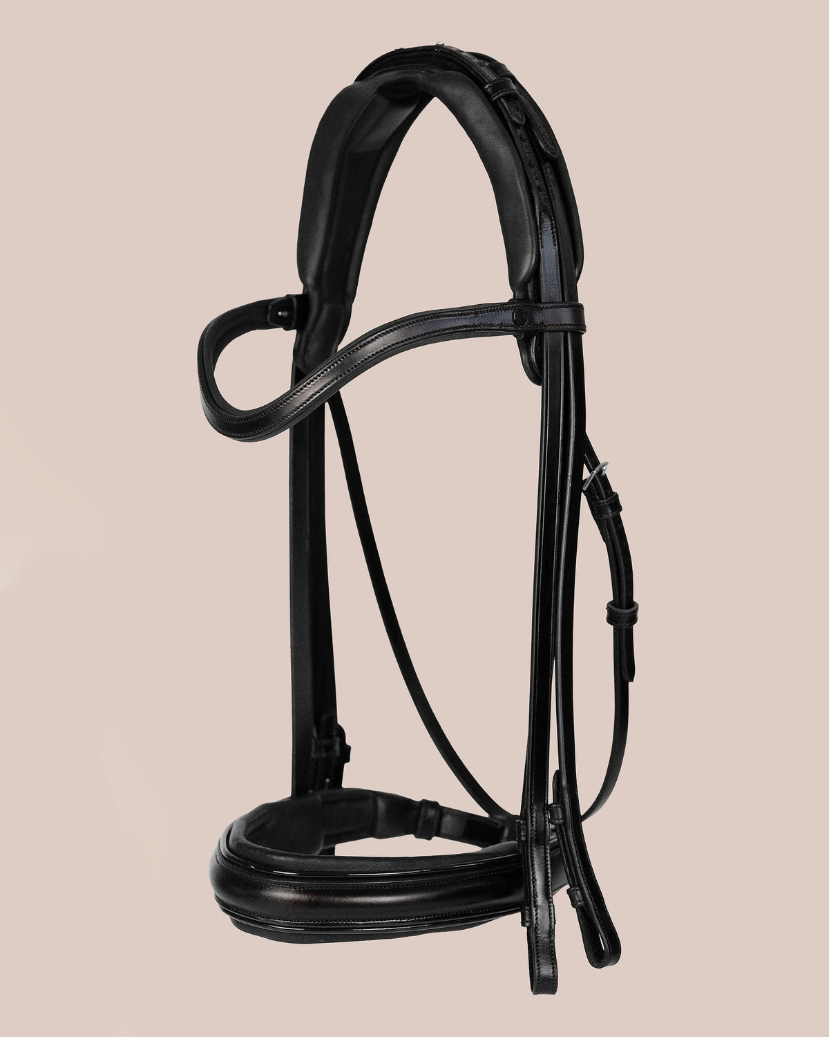 Black bridle on a beige background