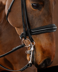 Load image into Gallery viewer, Close-up of a horse's head with a bridle on a brown background
