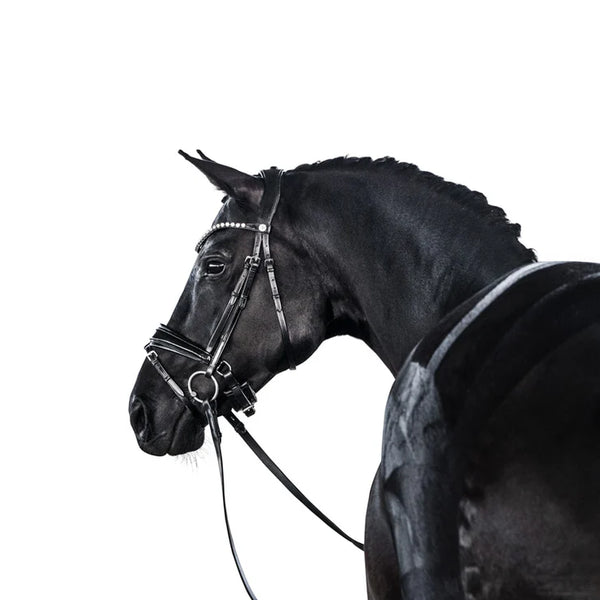 Lara Tweedie Essential Snaffle Bridle Patent