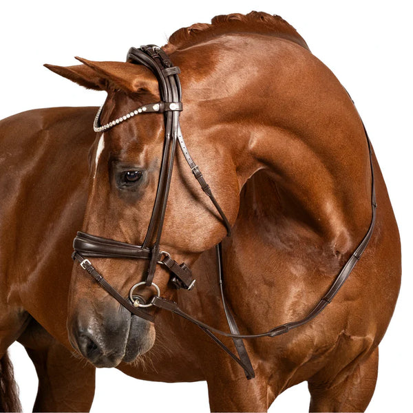 Lara Tweedie AntiGravity Snaffle Bridle Brown