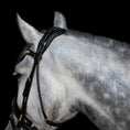 Load image into Gallery viewer, Utzon Olympic Dressage Bridle
