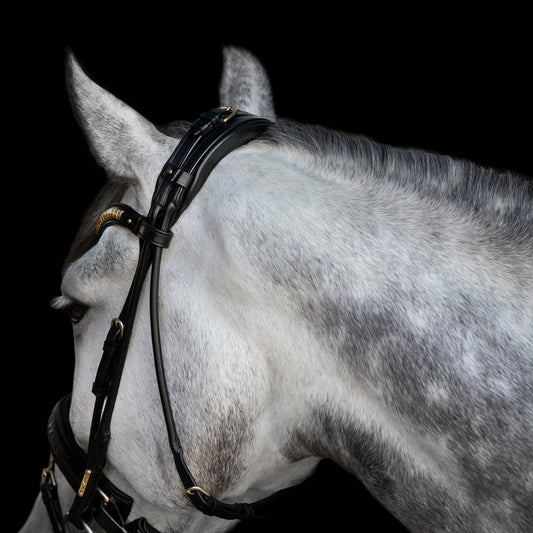 Utzon Olympic Dressage Bridle
