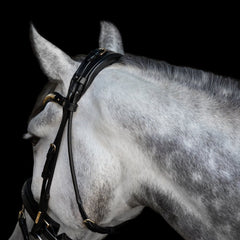Utzon Olympic Dressage Bridle