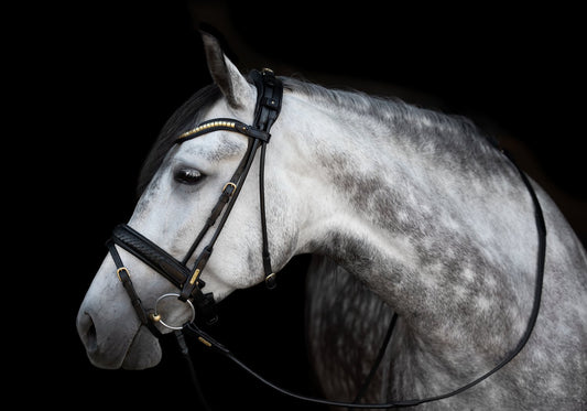 Utzon Olympic Dressage Bridle