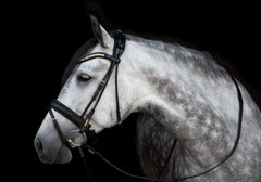 Utzon Olympic Dressage Bridle