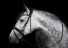 Utzon Olympic Dressage Bridle