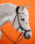 Load image into Gallery viewer, Equemist 2E brown horse browband with 8mm Jet Black crystals
