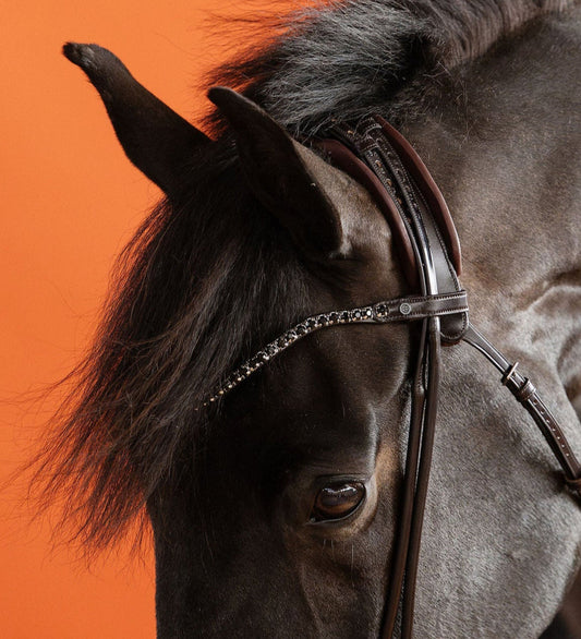 BROWBAND 2E | BROWN | JET BLACK, 8 MM