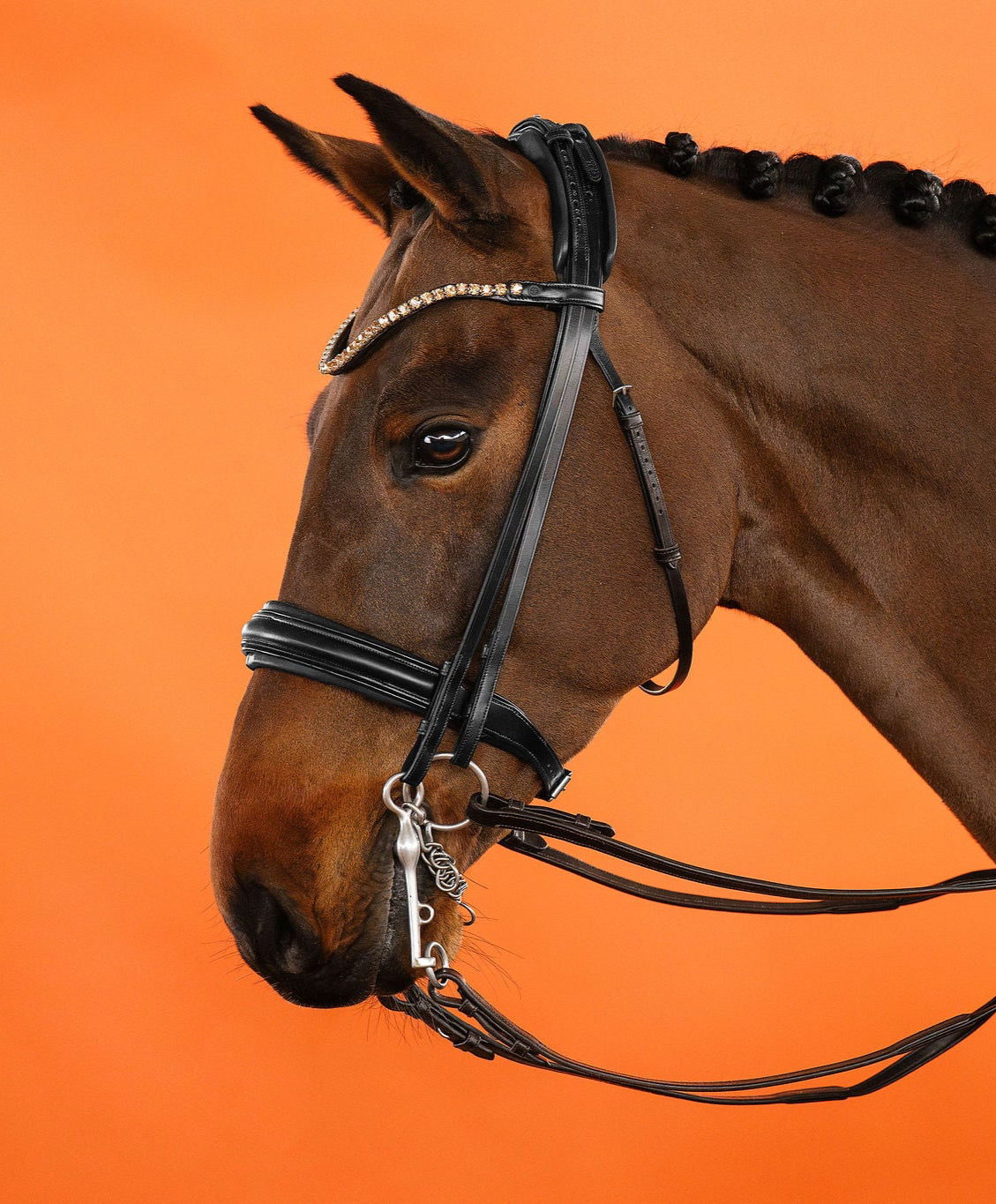 BROWBAND 2E | BLACK | LIGHT COLORADO TOPAZ, 8 MM