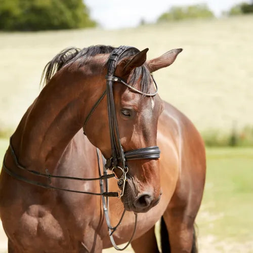 Finesse Cayenne Plane Double Bridle Black/White - Silver - Lacquer