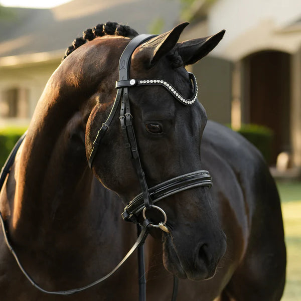 Lumiere Saphira Snaffle Bridle (Cavesson)