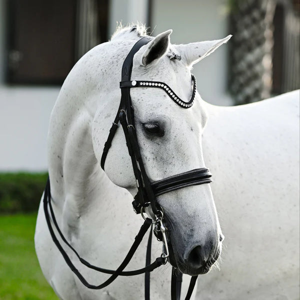 Lumiere Saphira Double Bridle