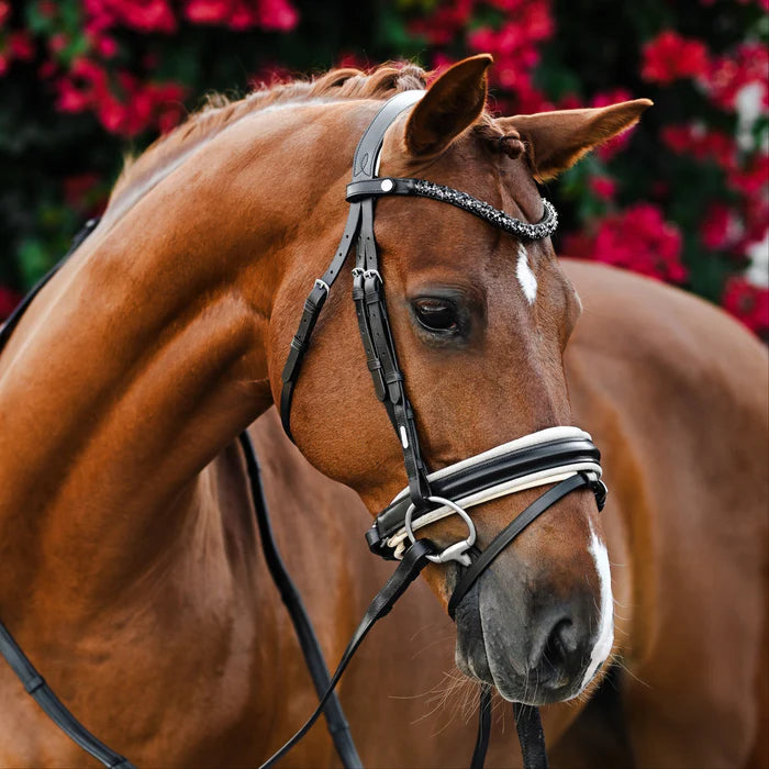 Lumiere Sibella Snaffle Bridle (Hanoverian)