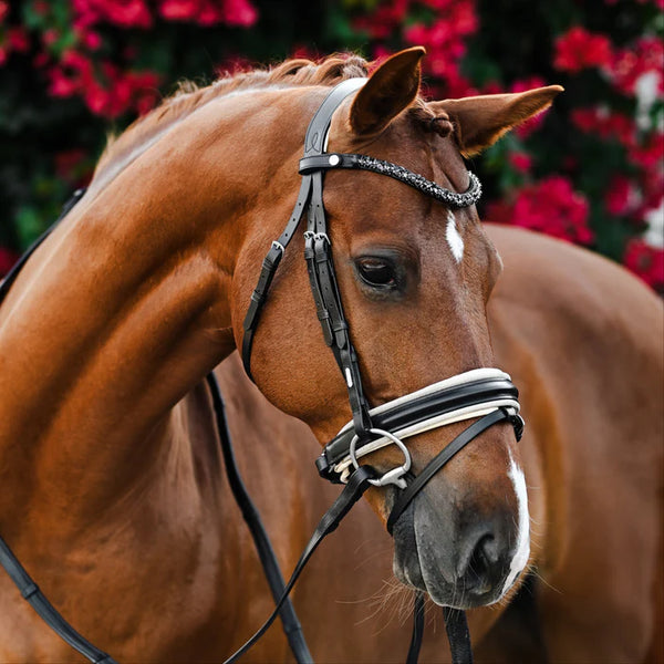 Lumiere Sibella Snaffle Bridle (Hanoverian)