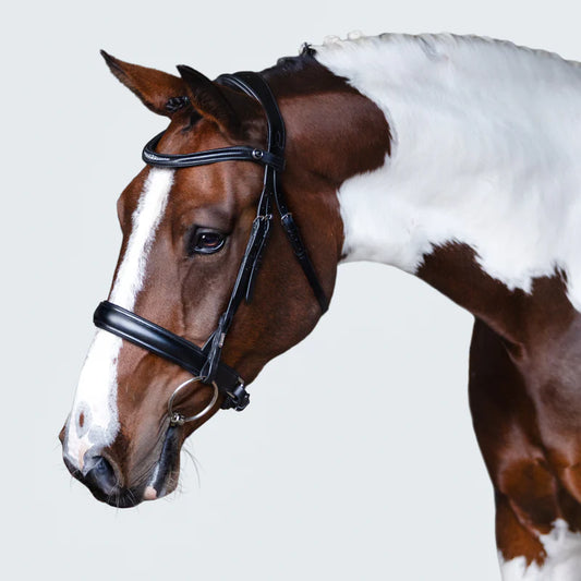 Lumiere Stella Snaffle Bridle