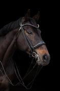 Load image into Gallery viewer, Close-up of a horse wearing a bridle against a black background
