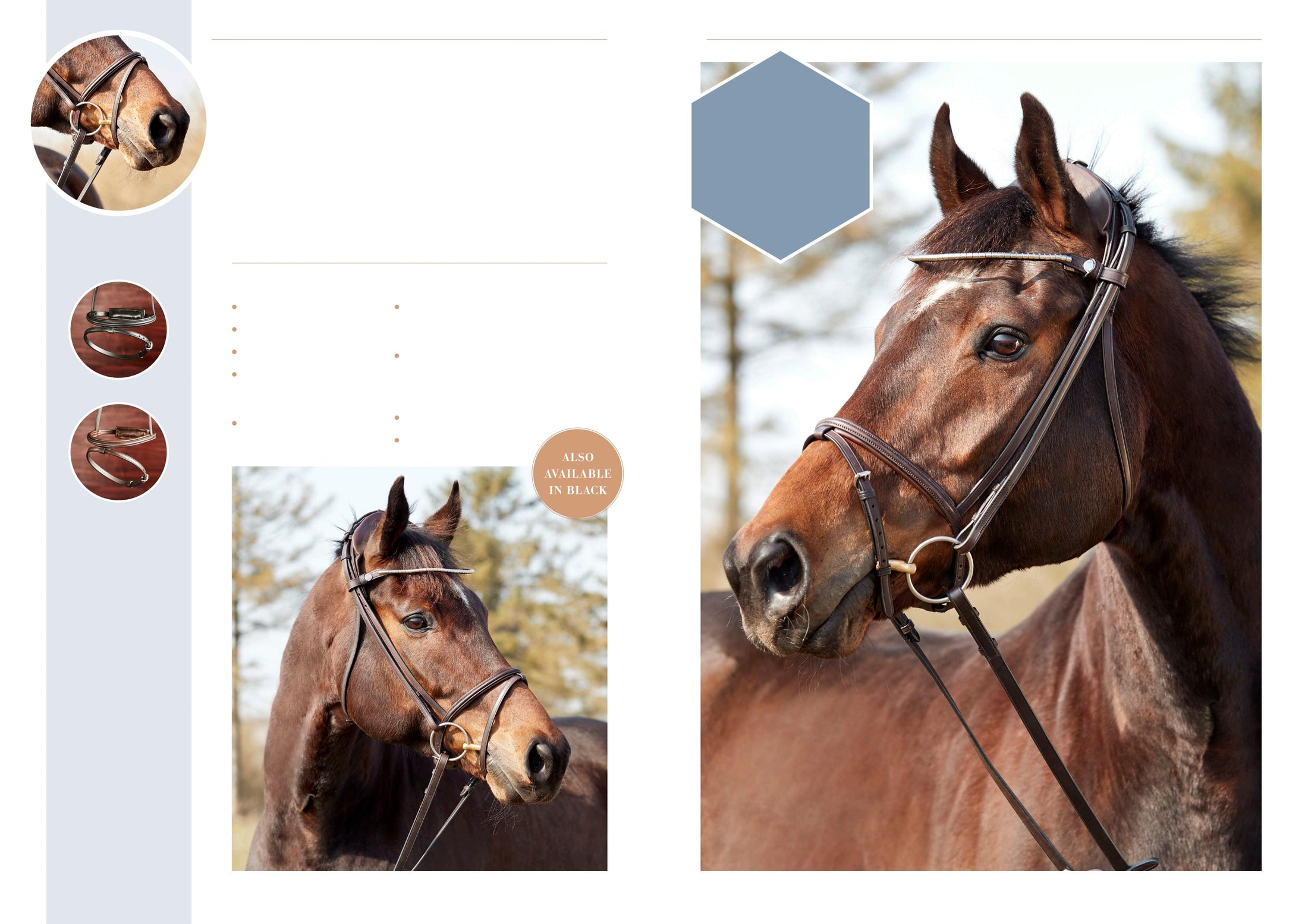 Finesse Zorro Single Bridle