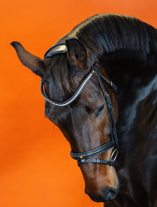 BROWBAND JUMPINGNING 2H | BLACK | CRYSTAL CLEAR 6 MM, EMBEDDED