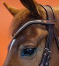 Load image into Gallery viewer, BROWBAND JUMPINGNING 2L | BROWN | KLINKER
