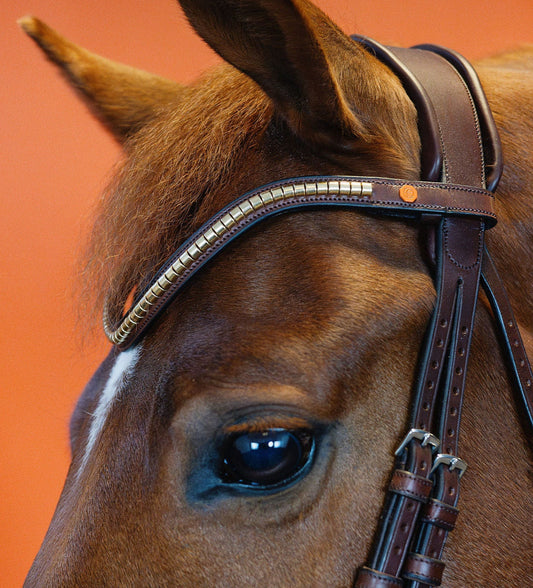 BROWBAND JUMPINGNING 2L | BROWN | KLINKER