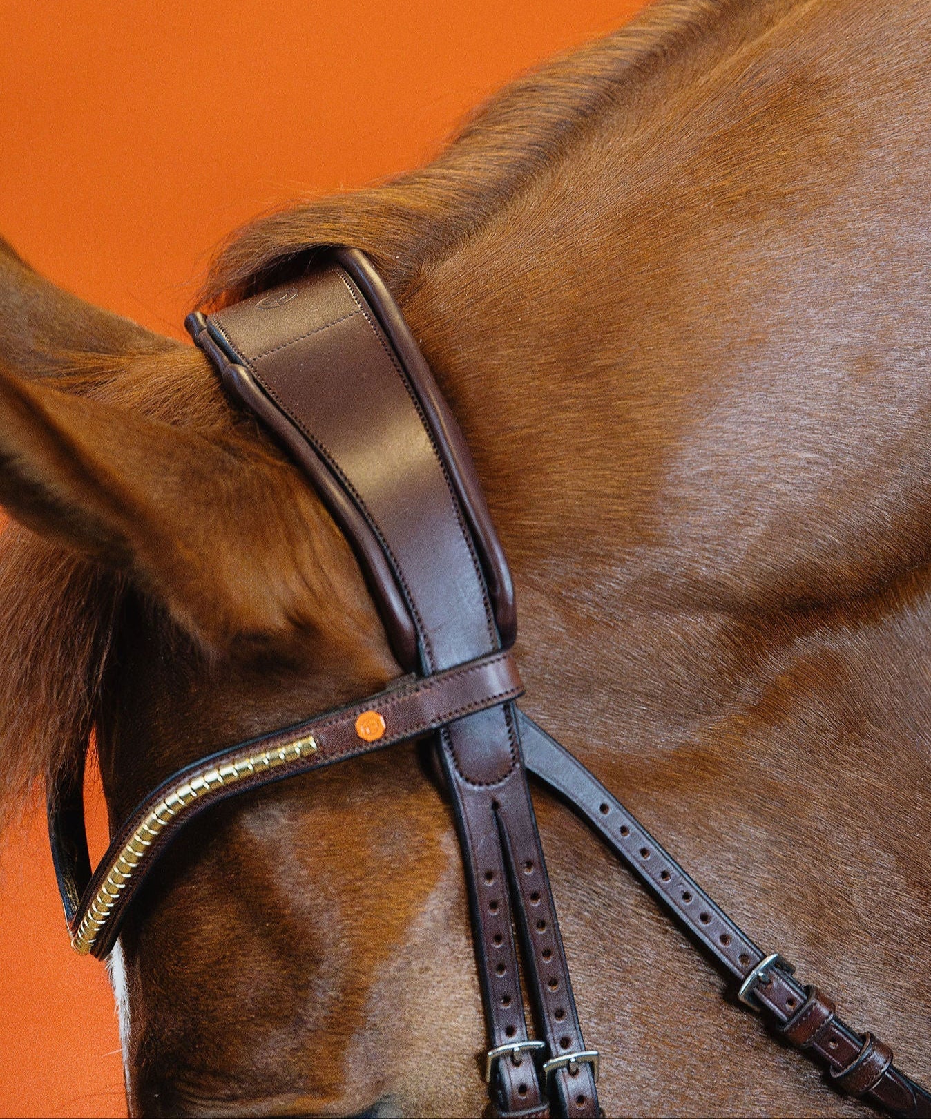 BROWBAND JUMPINGNING 2L | BROWN | KLINKER