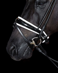 Load image into Gallery viewer, Close-up of a horse's head wearing a bridle on a black background
