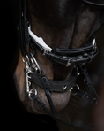 Load image into Gallery viewer, Equemist No. 153 black round-stitched double bridle with white padding
