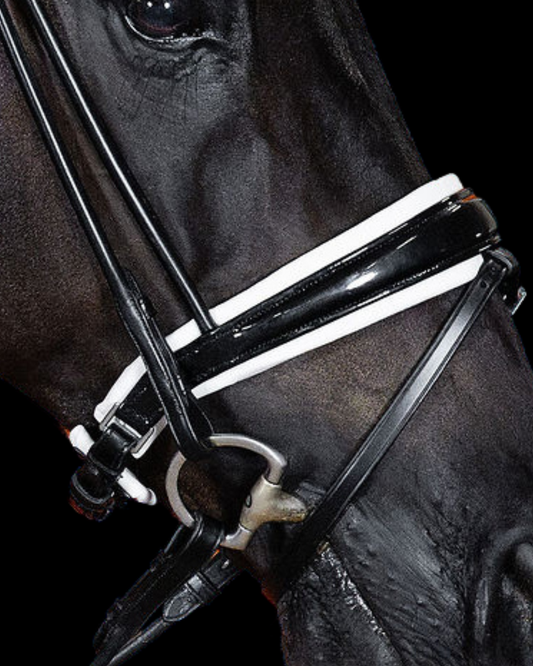 Close-up of a horse's head wearing a bridle with a black background