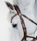 Load image into Gallery viewer, BROWBAND JUMPINGNING 2H | BROWN | CRYSTAL CLEAR 6 MM, EMBEDDED
