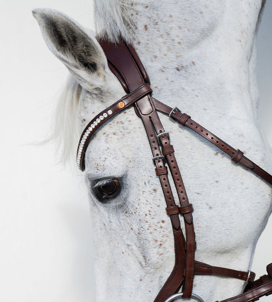 BROWBAND JUMPINGNING 2H | BROWN | CRYSTAL CLEAR 6 MM, EMBEDDED