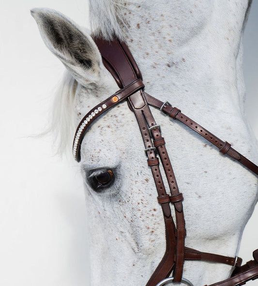 BROWBAND JUMPINGNING 2H | BROWN | CRYSTAL CLEAR 6 MM, EMBEDDED