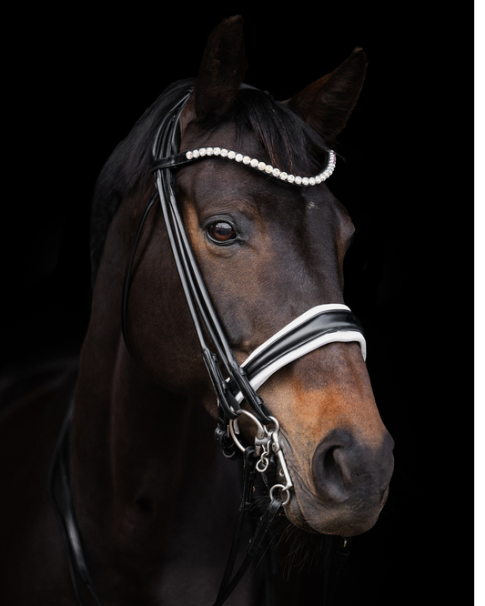 Equemist No. 153 black round-stitched double bridle with white padding
