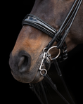 Load image into Gallery viewer, Close-up of a horse's head with a bridle on a black background

