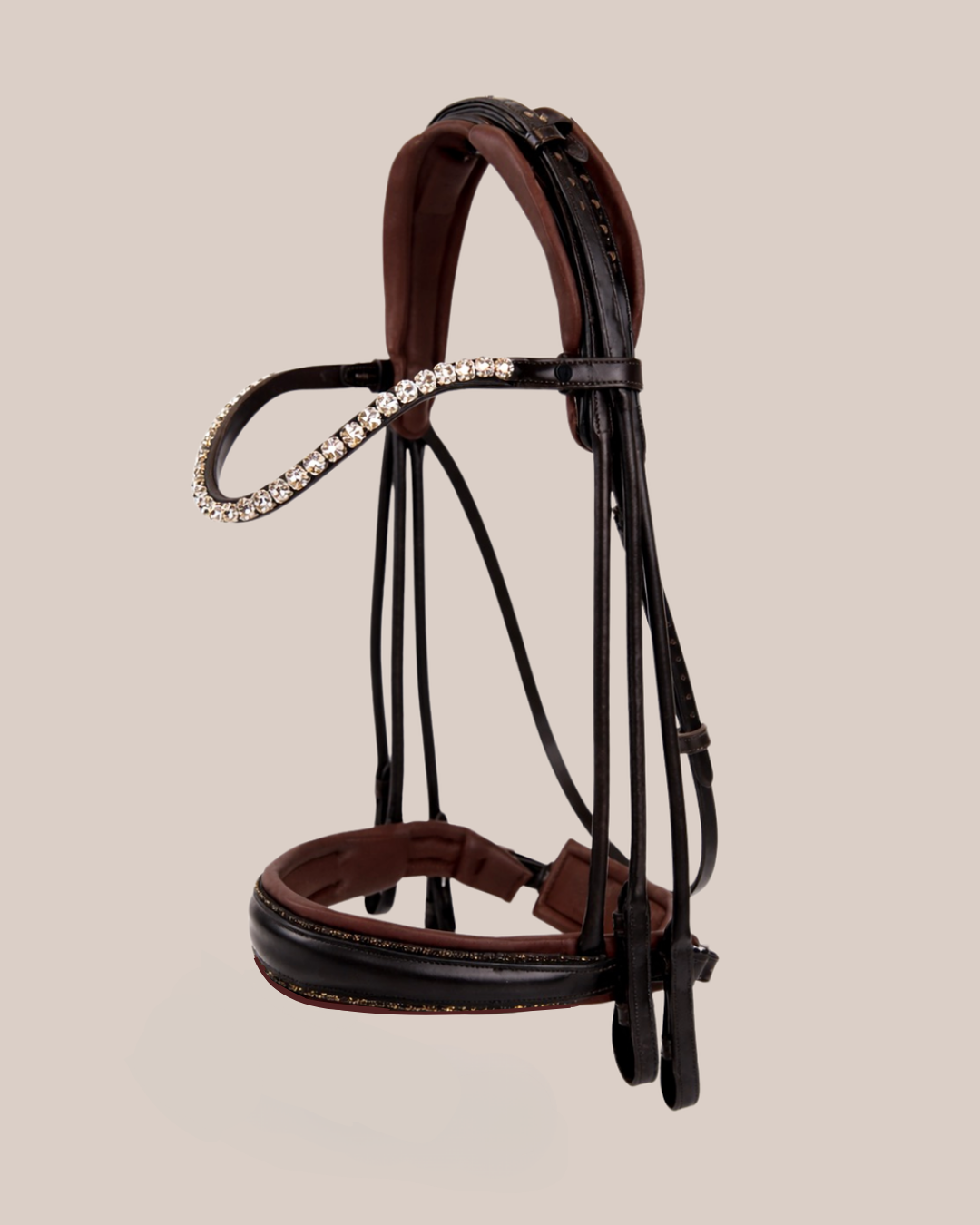 Brown and black bridle with decorative elements on a beige background
