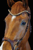 Load image into Gallery viewer, Close-up of a brown horse's face with a bridle on a black background
