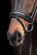 Load image into Gallery viewer, Close-up of a horse's head with a bridle on a black background

