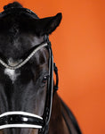 Load image into Gallery viewer, BROWBAND 2E | BLACK | CRYSTAL CLEAR, 8 MM

