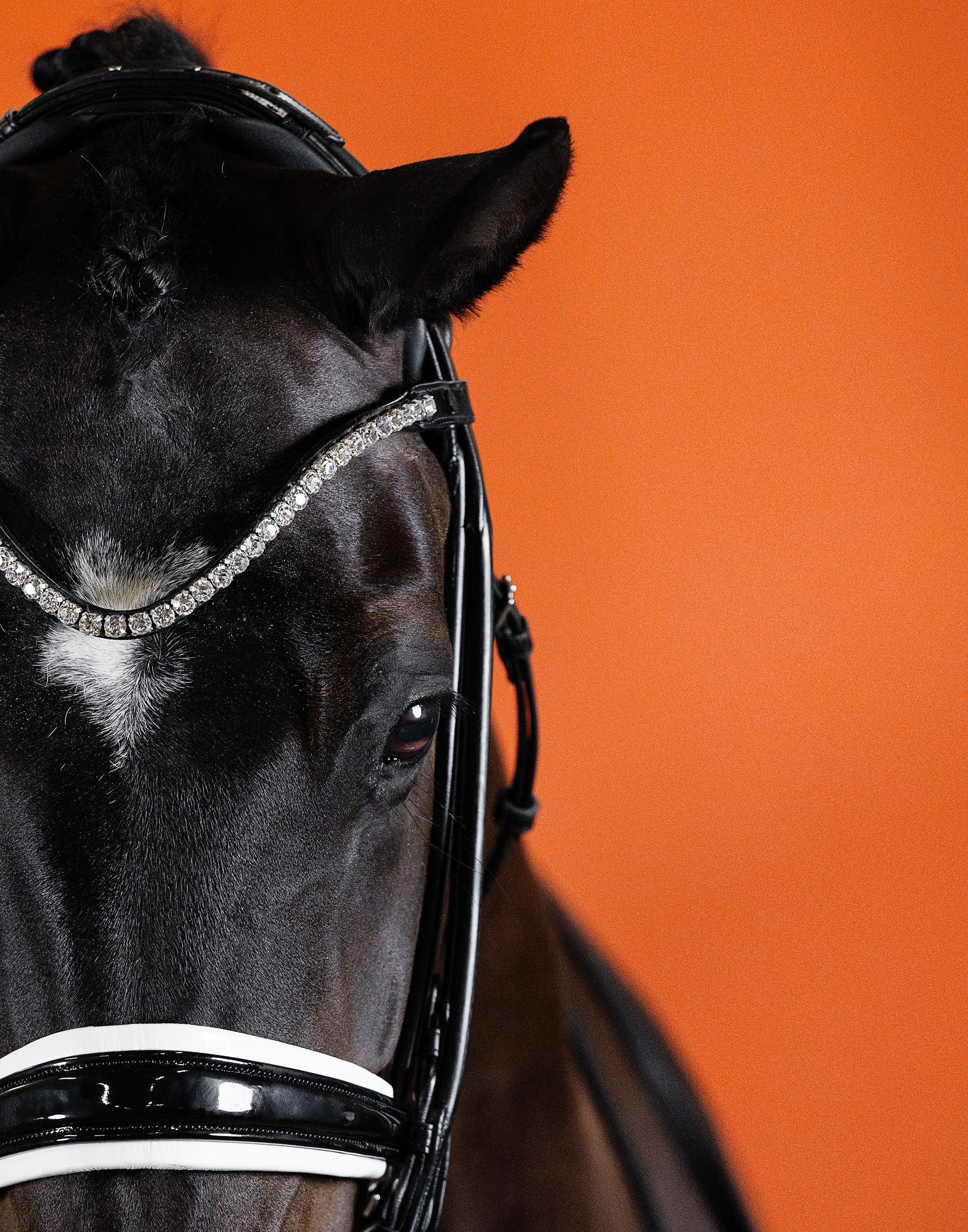 BROWBAND 2E | BLACK | CRYSTAL CLEAR, 8 MM