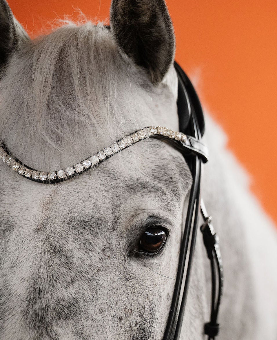 BROWBAND 2E | BLACK | CRYSTAL CLEAR, 8 MM