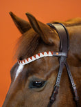 Load image into Gallery viewer, BROWBAND JUMPINGNING 2K | BROWN | SIGNATURE ORANGE

