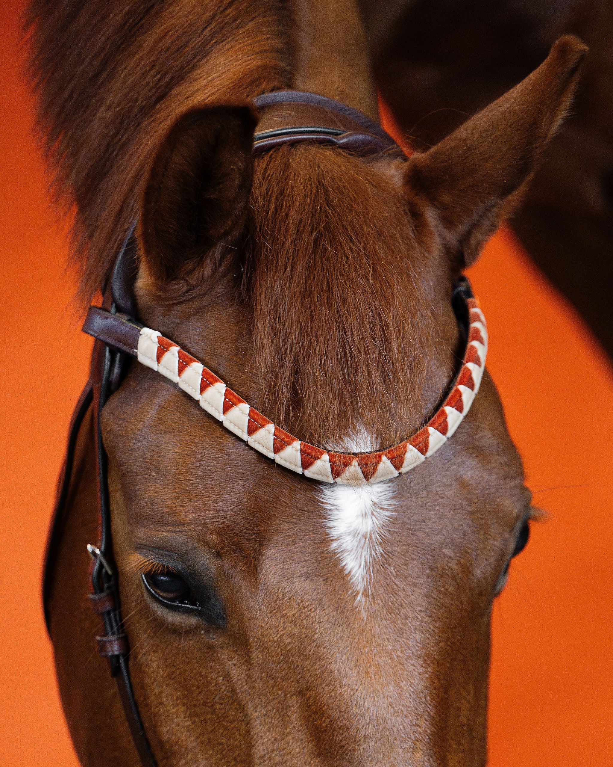 BROWBAND JUMPINGNING 2K | BROWN | SIGNATURE ORANGE
