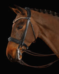 Load image into Gallery viewer, Brown horse wearing a bridle on a black background
