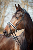 Load image into Gallery viewer, Finesse Cayenne Plane Double Bridle Black/Black Lacquer - Gold
