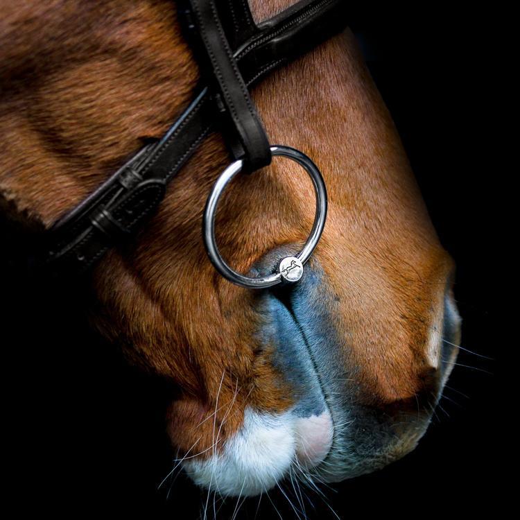 Fager Martin Sweet Iron FL Loose Rings