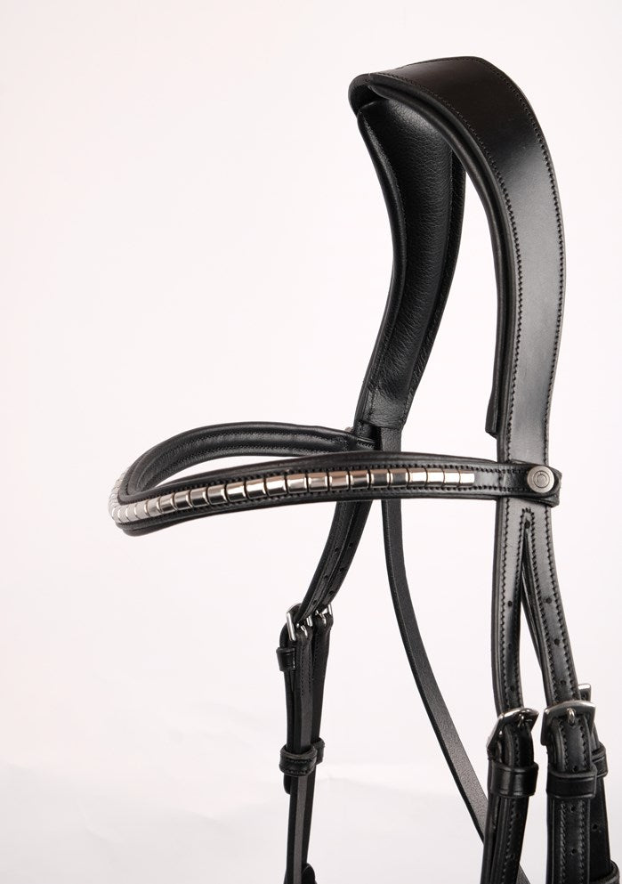 Browband Black with silver clinchers