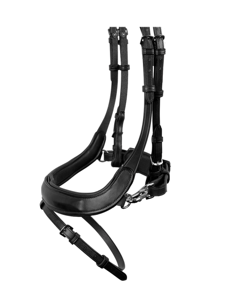 Noseband Bretagne black