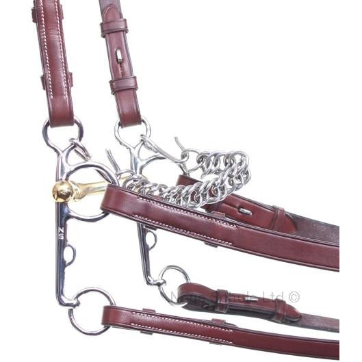 Neue Schule Turtle Top Pelham