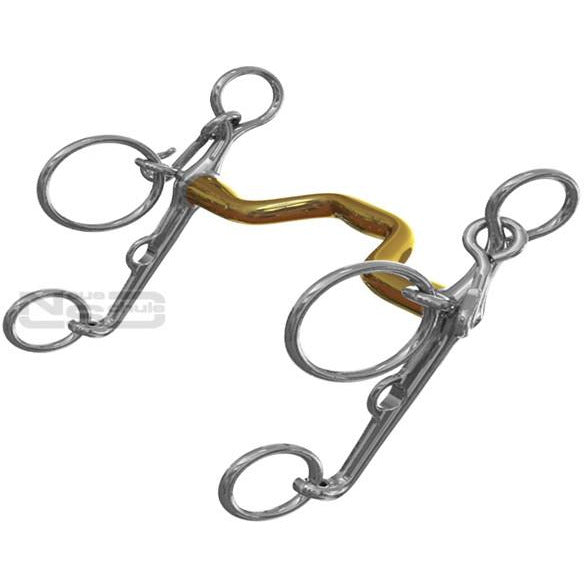 Neue Schule Warmblood Show Pelham