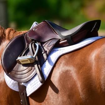 ThinLine Seat Maker for English Riders