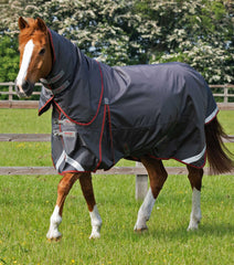 Description:Buster 150g Turnout Rug with Classic Neck Cover_Color:Grey_Position:1